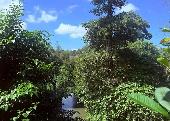 Alojamento de Acomodação e Pequeno-almoço Edem Cafe Ubud
