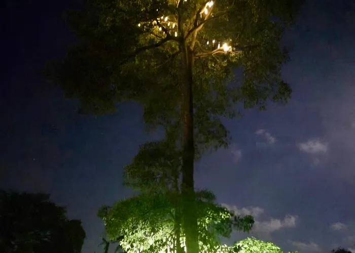 Edem Cafe Frühstückspension Ubud